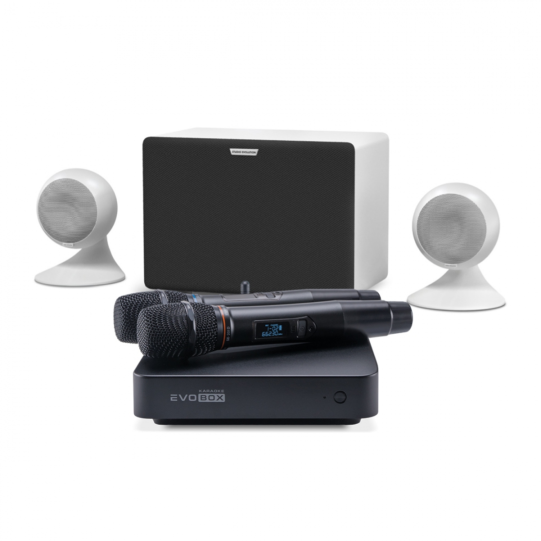 караоке-комплект EVOBOX Classic + EvoSound Sphere 2.1 в Орловской области