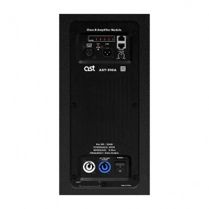 Активная акустическая система AST-310A в Орловской области