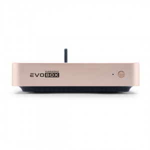 EVOBOX Plus караоке-система для дома в Орловской области