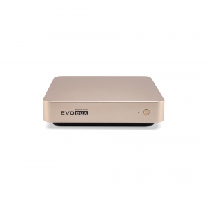 EVOBOX с микрофонами в Орловской области